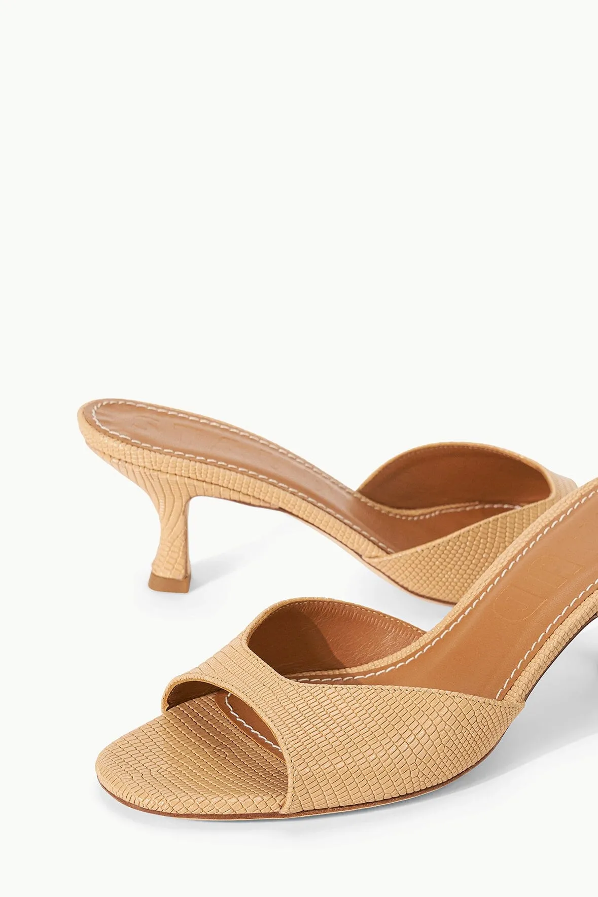 BRIGITTE MULE | PORCINI