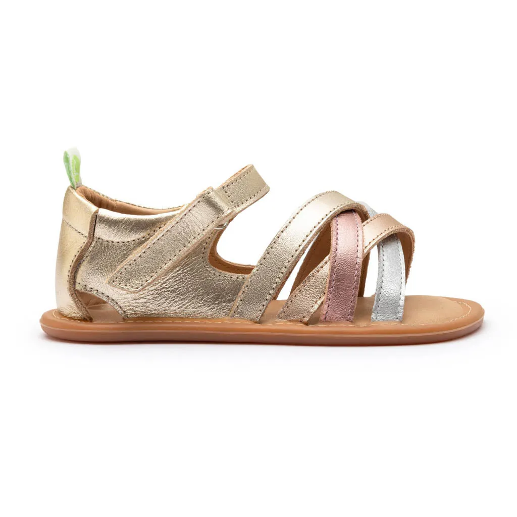 Criss Cross - Champagne / Metallic Salmon / Rose Gold (Baby)